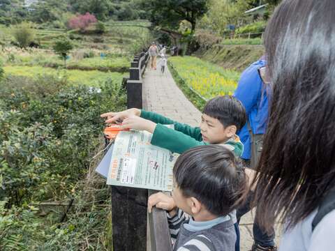 闖關遊戲（圖片來源：臺北市政府工務局大地工程處）