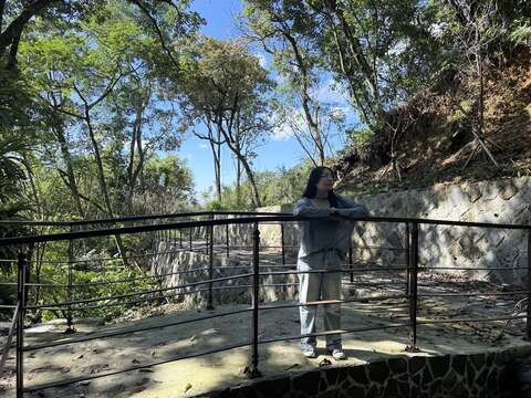 百年桂花林(圖片來源:臺北市政府工務局大地工程處)