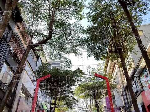 西門町徒步區街景,筆直向上延伸的樹冠（圖片來源：臺北市政府工務局公園路燈工程管理處）