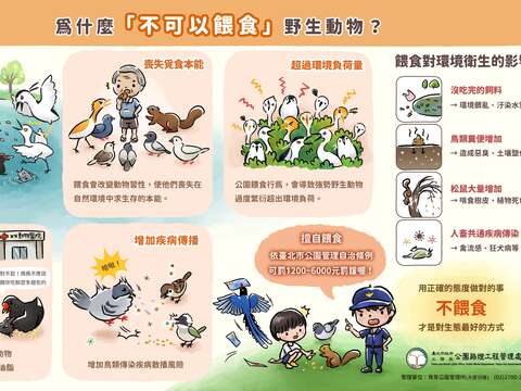 觀察小動物應保持適當距離，切勿餵食（圖片來源：臺北市政府工務局公園路燈工程管理處）