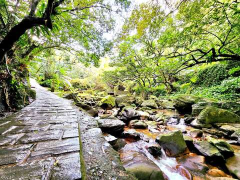 圓覺寺步道-小溪流（圖片來源：臺北市政府工務局公園路燈工程管理處）