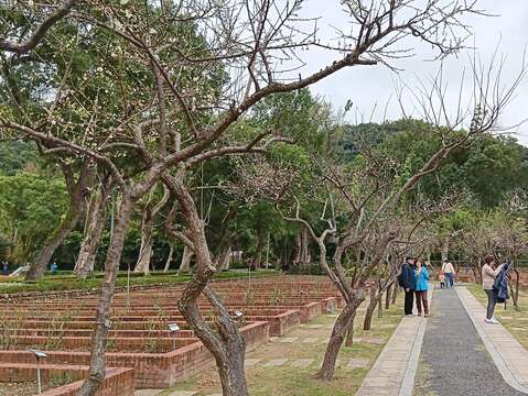 士林官邸玫瑰園一隅（圖片來源：臺北市政府工務局公園路燈工程管理處）