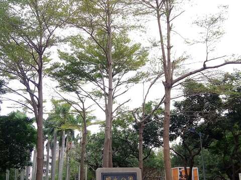 明水公園-入口景觀