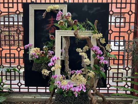 巧妙運用畫框勾勒出花與樹的律動感與生命力（圖片來源：臺北市政府工務局公園路燈工程管理處）