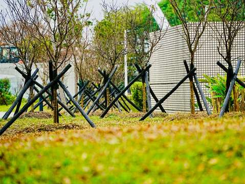 公園新植櫻花林（圖片來源：臺北市政府工務局衛生下水道工程處）