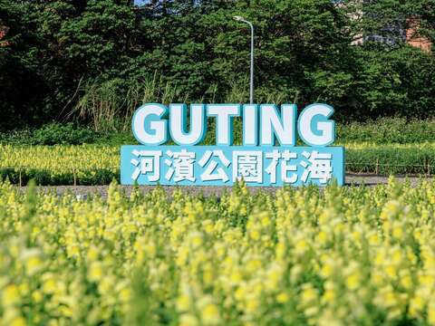 古亭河濱花海 繽紛綻放中 河濱公園花海(圖片來源:臺北市政府工務局水利工程處)