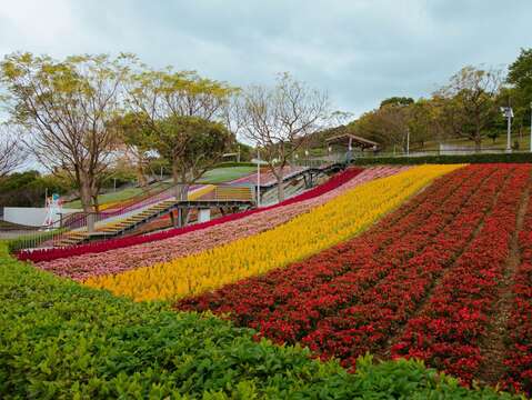三層崎花海，坡地地形結合繽紛色彩，吸引民眾前來合影。（圖片來源：臺北市政府工務局公園路燈工程管理處）