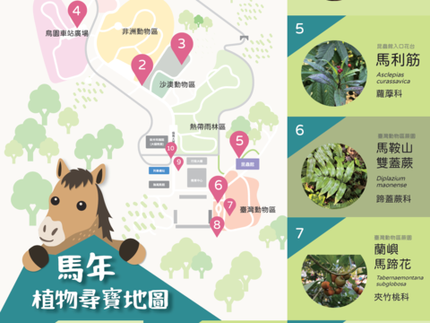 馬年植物尋寶地圖（圖片來源：臺北市立動物園）