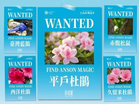「祕寶懸賞攝影」捕捉大安森林公園中的蓬勃生態，拍照上傳到粉絲專頁指定貼文，就有機會獲得 AirPods Pro 3!（圖片來源：臺北市政府工務局公園路燈工程管理處）