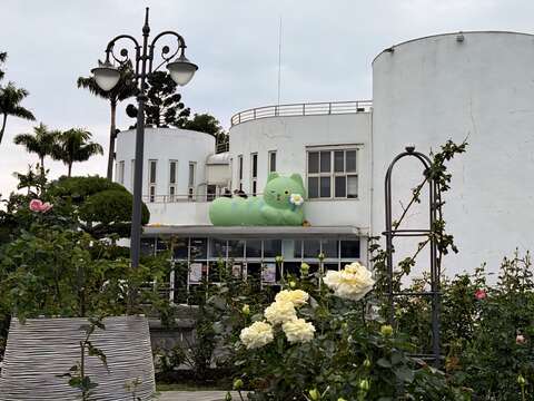 在玫瑰花海中捕捉園丁喵喵超萌身影！（圖片來源：臺北市政府工務局公園路燈工程管理處）