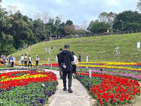 Taipei City's Riverside Blooms in Celebration of Spring Happy Chinese New Year of the Horse