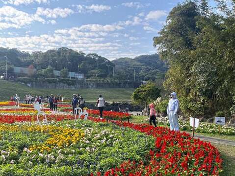 Taipei City's Riverside Blooms in Celebration of Spring Happy Chinese New Year of the Horse
