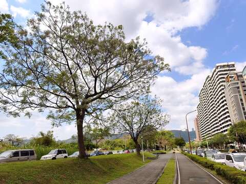 四季分明（圖片來源：臺北市政府工務局公園路燈工程管理處）