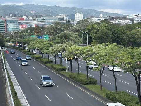 想看最療癒的「紫海」，絕對不能錯過內湖堤頂大道！（圖片來源：臺北市政府工務局公園路燈工程管理處）