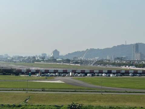 陽光運動公園放空吧！白天在草地上曬太陽，看飛機劃過紫色樹頂，享受春天的氣息（圖片來源：臺北市政府工務局公園路燈工程管理處）