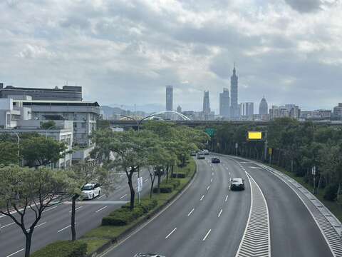 臺北正吹起優雅的「紫暴」旋風，堤頂大道上筆直的苦楝（圖片來源：臺北市政府工務局公園路燈工程管理處）
