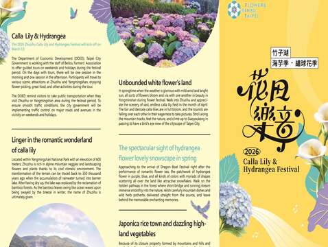 Springtime Romance Awaits: Zhuzihu Calla Lily & Hydrangea Festival, Mar 14–Apr 26