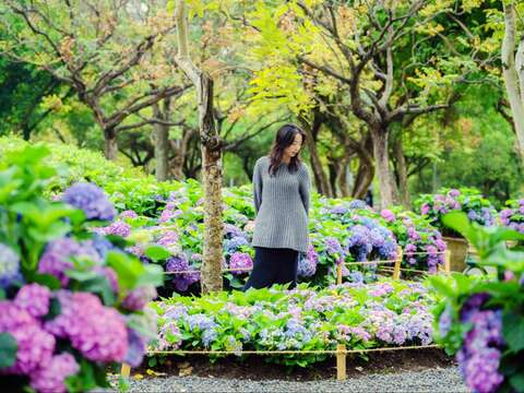 拍下大安森林公園中的任意動植物，並上傳指定貼文，即可享有抽獎資格，各種人氣選品等你帶回家。（圖片來源：臺北市政府工務局公園路燈工程管理處）
