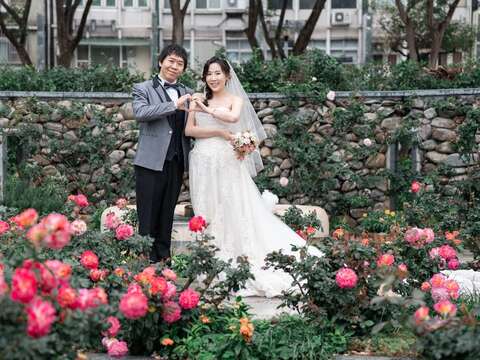 在臺北的景區內,秘境花園的水景區,搭配綻放的玫瑰品種『溫暖』,成為婚紗地的最佳攝影地點!(圖片來源:臺北市政府工務局公園路燈工程管理處)