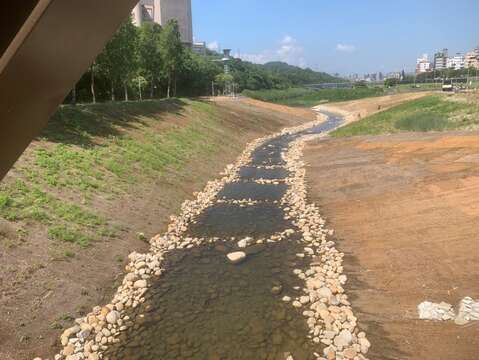From “Concrete Ditch” to “Ecological Corridor”: One Year After the Zhinan River Bank Restoration Project, Results Shine as the Endangered Yellow-margined Box Turtle Reappears