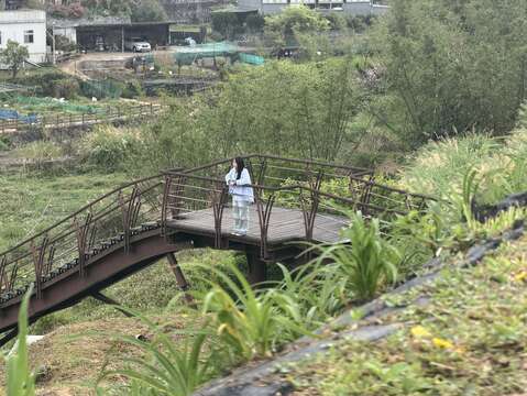 稻浪棧橋-平台（圖片來源：臺北市政府工務局大地工程處）