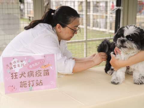動保處在「狗狗春遊趣」活動提供免費施打狂犬病疫苗服務（圖片來源：臺北市動物保護處）