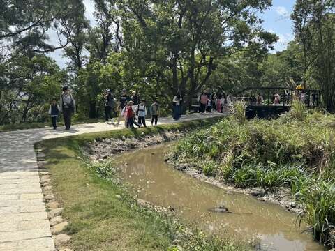 花崗岩步道旁生態池(圖片來源:臺北市政府工務局大地工程處)
