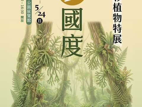即日起到5月24日來青年公園園藝展覽館一探蕨類與石杉植物的奧妙(圖片來源:臺北市政府工務局公園路燈工程管理處)