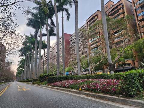 仁愛路中央綠帶結合草花配置，隨道路軸線向前延伸，展現整體景觀連續性（圖片來源：臺北市政府工務局公園路燈工程管理處）