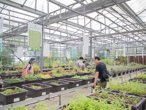 Limited-Time "Love Flower Festival" Event at Neish