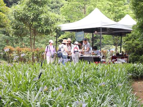 Limited-Time "Love Flower Festival" Event at Neish
