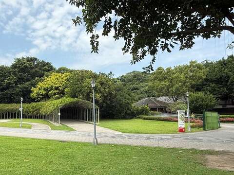 梔子花、紫藤花及皋月杜鵑串聯成為市民與遊客近期關注的賞花新秘境。(圖片來源:臺北市政府工務局公園路燈工程管理處)