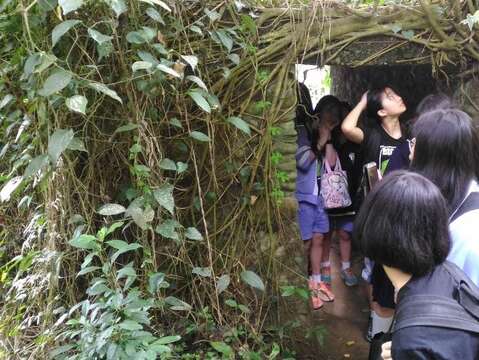 已被藤蔓與樹枝包圍歷史遺跡，形成了許多小動物們的天然屏障。(取自110年度臺北市101環教路線暨教案工作坊成果集)（富陽烈烈，螢火燦燦）（圖片來源：臺北市政府教育局）