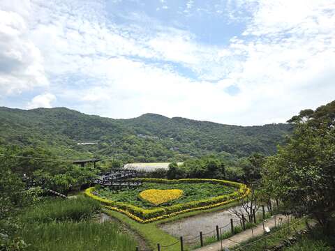 同心池-遠拍（圖片來源：臺北市政府工務局大地工程處）