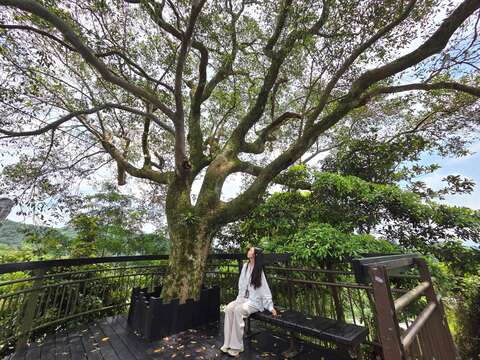 許願步道-休憩平台（圖片來源：臺北市政府工務局大地工程處）
