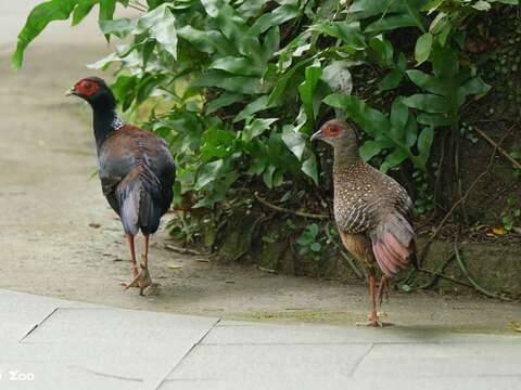 International Day for Biological Diversity: Urban