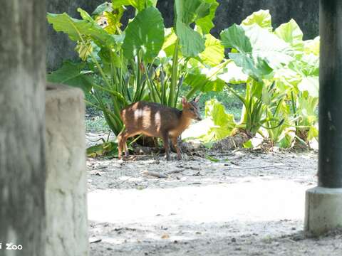 International Day for Biological Diversity: Urban