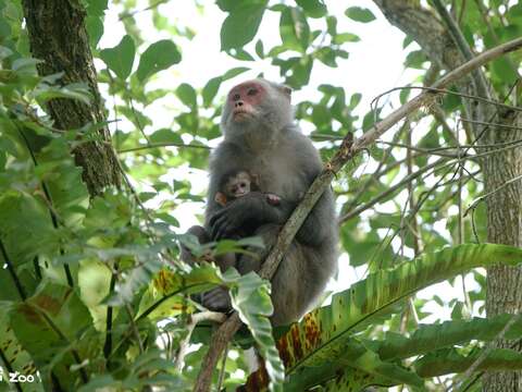 International Day for Biological Diversity: Urban