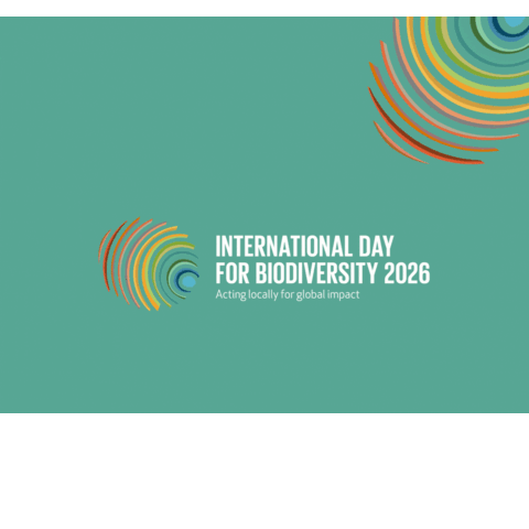 International Day for Biological Diversity: Urban