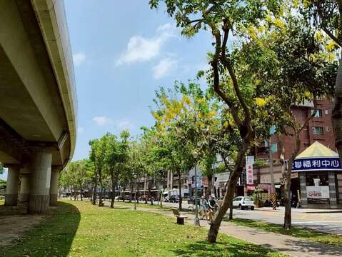 線形公園阿勃勒盛開(圖片來源:臺北市政府工務局公園路燈工程管理處)