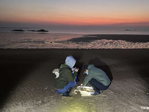 What’s on the Menu? Uncovering the Diet of Eurasia