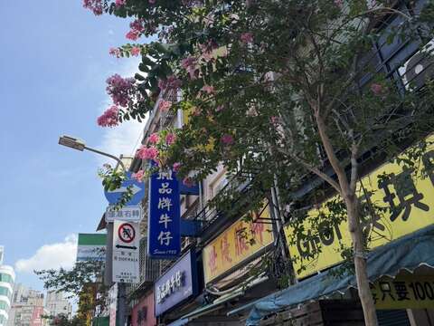 西園路紫薇形塑街景風情(圖片來源:臺北市政府工務局公園路燈工程管理處)