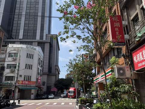 西園路紫薇搭配仙丹複層式花臺(圖片來源:臺北市政府工務局公園路燈工程管理處)