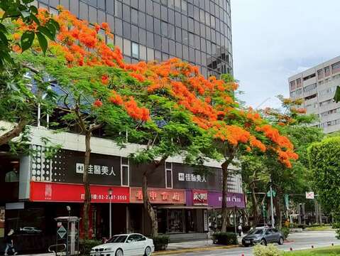 仁愛圓環旁的新光仁愛大樓（圖片來源：臺北市政府工務局公園路燈工程管理處）