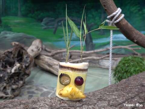 翹鬍子星人（圖片來源：臺北市立動物園）