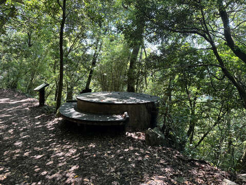 圓形休憩座椅(圖片來源:臺北市政府工務局公園路燈工程管理處)