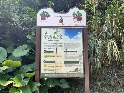 公園處設置的臺灣獼猴資訊看板(圖片來源:臺北市政府工務局公園路燈工程管理處)