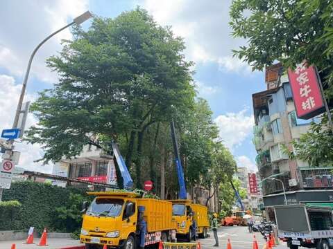 公園處加強修剪疏枝,積極做好防災整備(圖片來源:臺北市政府工務局公園路燈工程管理處)