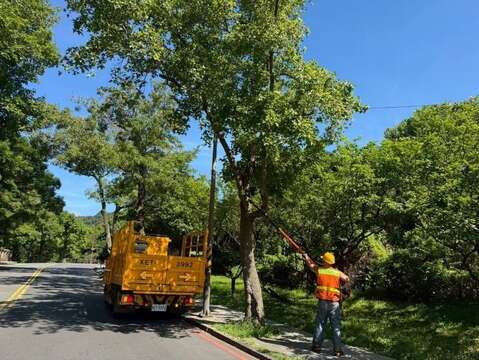 熱天依舊不怠慢修剪疏枝作業(圖片來源:臺北市政府工務局公園路燈工程管理處)