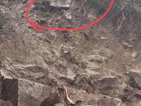 邊坡不穩定照片(圖片來源:臺北市政府工務局大地工程處)